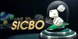 Mô phỏng chiến thuật gộp cược Tài Xỉu và bộ đôi trong Sicbo.